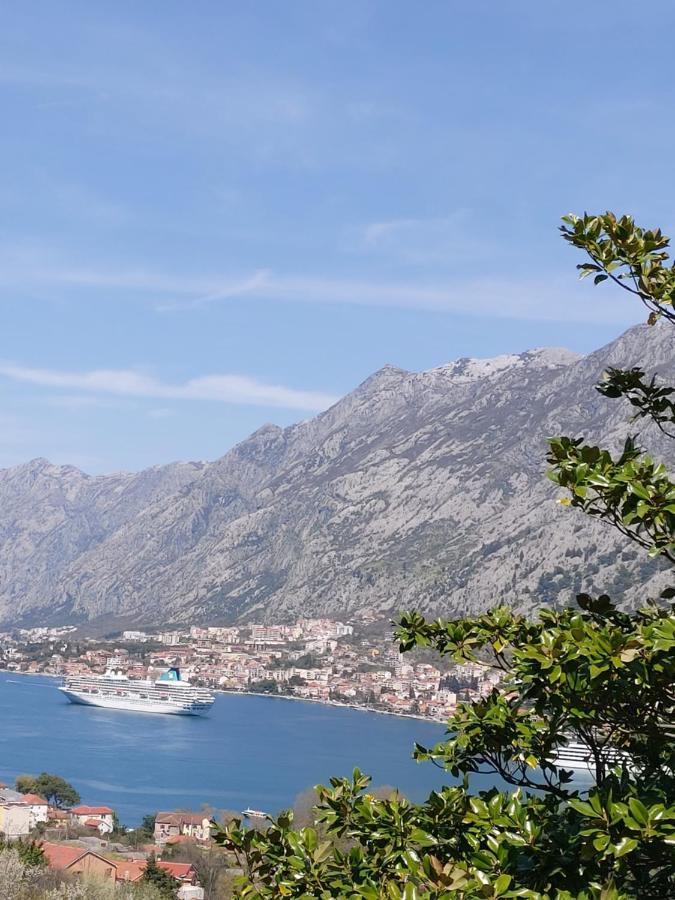 Dolce Casa Villa Kotor Eksteriør billede